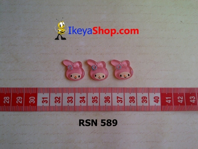 rsn 589  large2